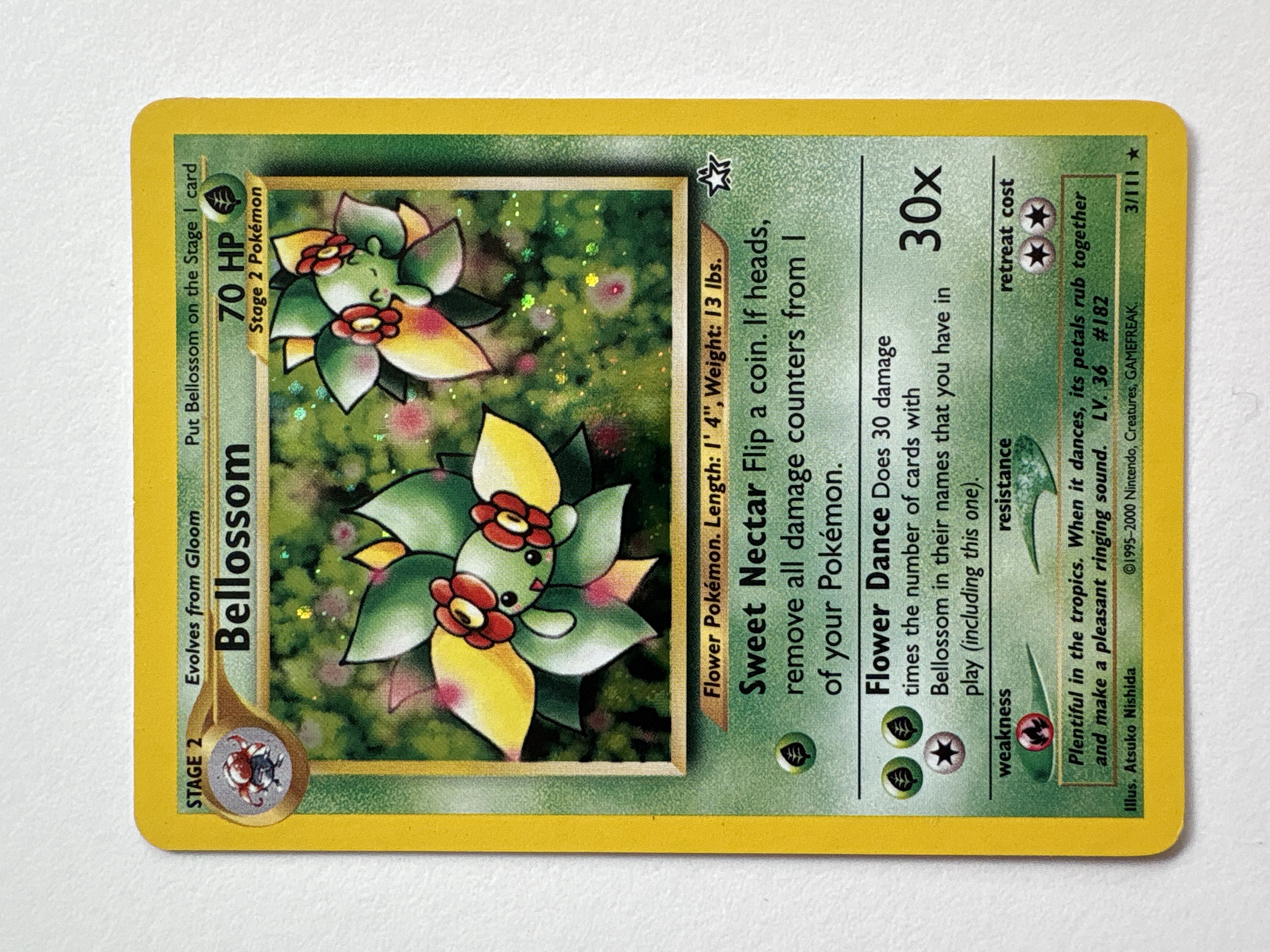 Bellossom foto 1