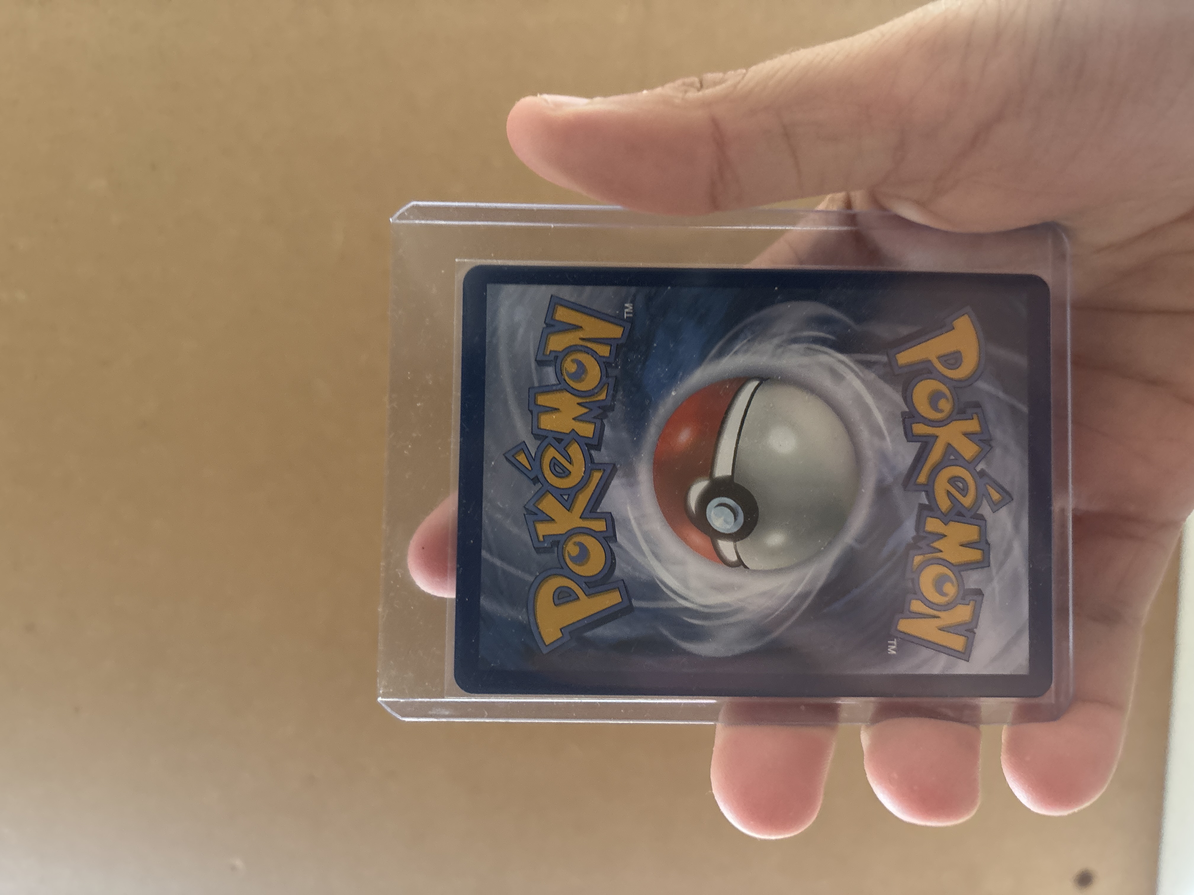 Mega Sharpedo ex foto 2