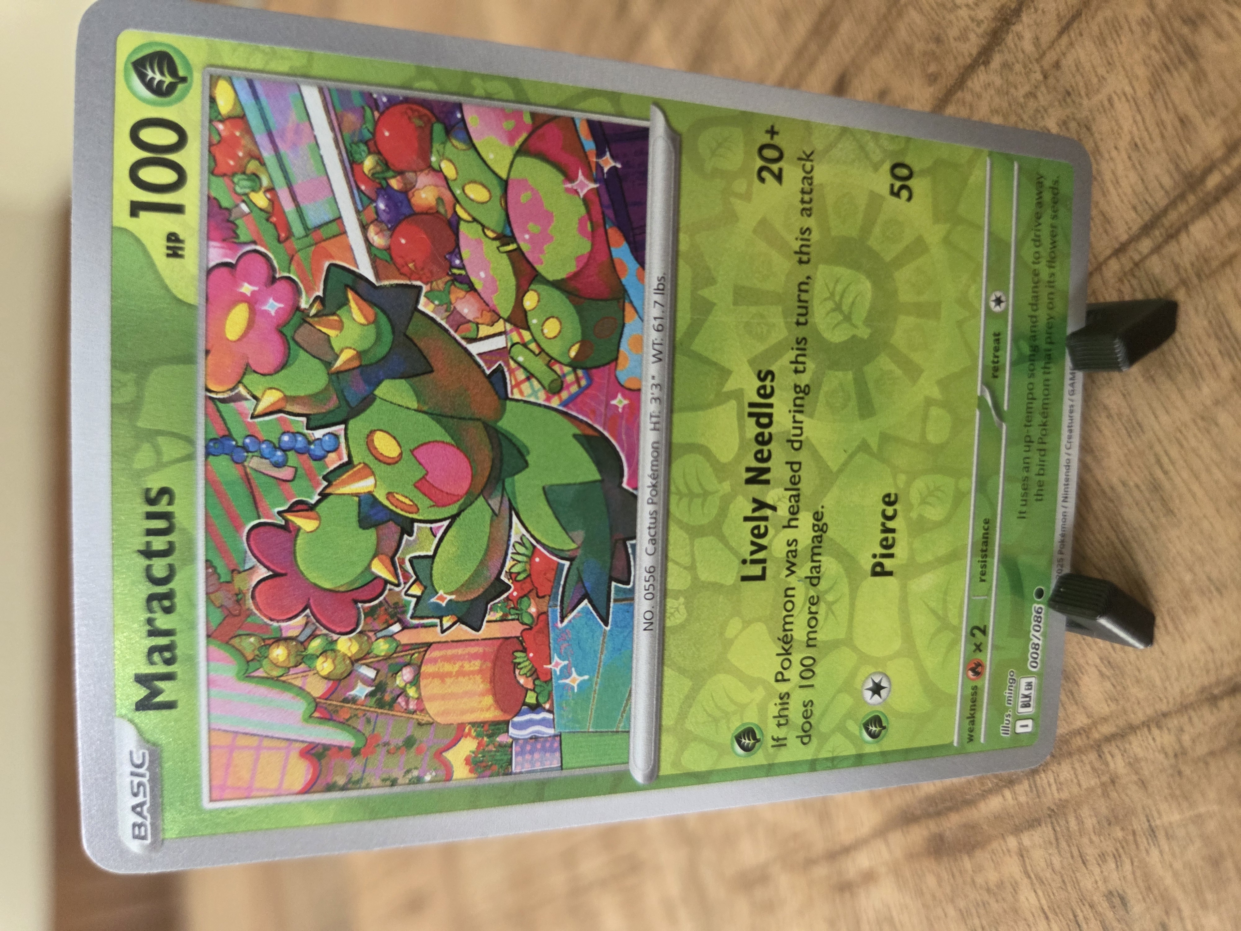Maractus