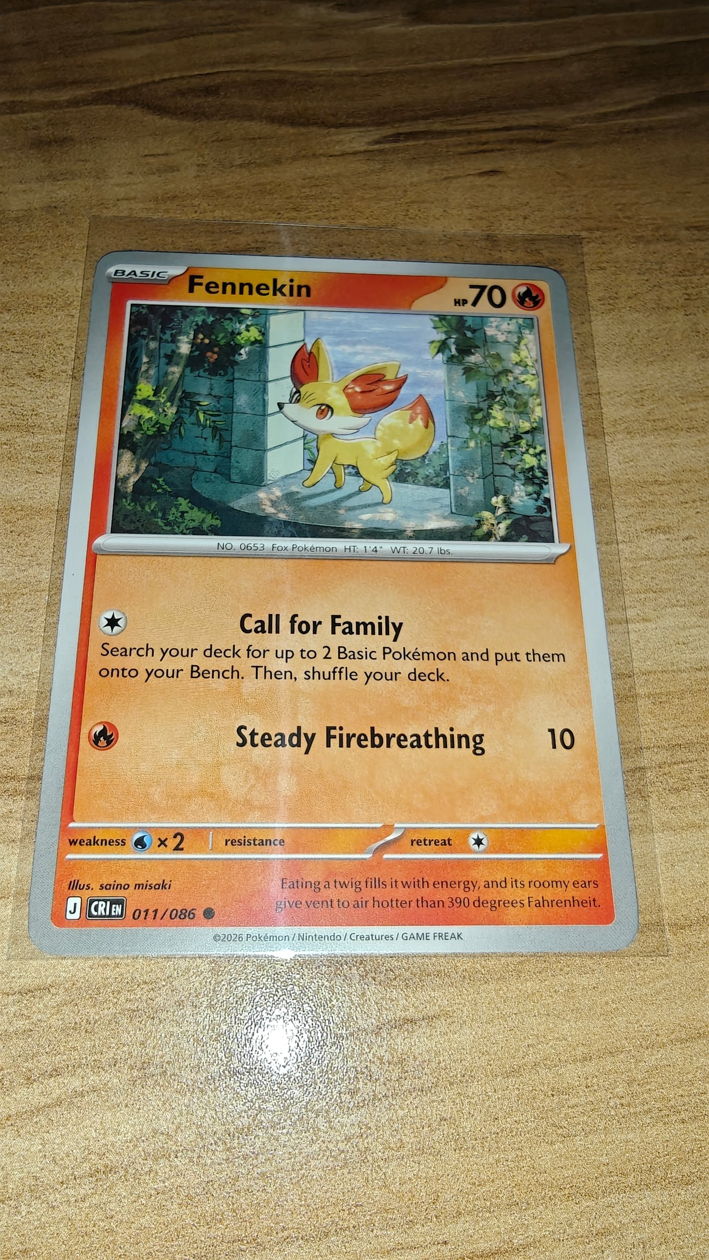 Fennekin foto 2