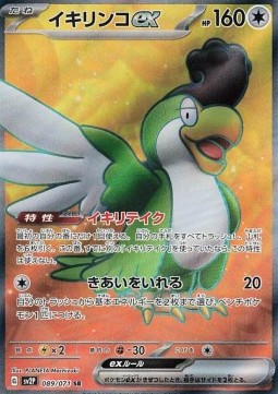 Squawkabilly ex foto 1