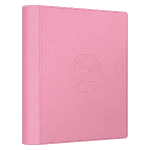 Sylveon Gift Box 9-Pocket Binder